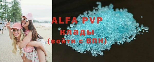 прущая мука Дмитриев