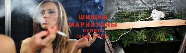 прущая мука Дмитриев