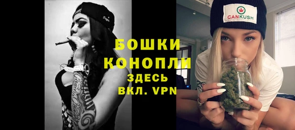2c-b Ельня