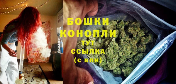 2c-b Ельня