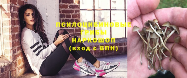 прущая мука Дмитриев