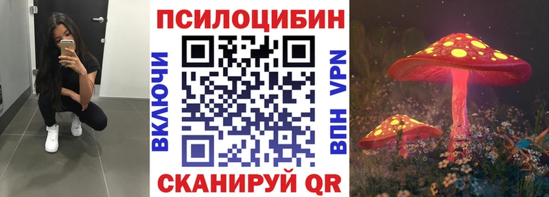 даркнет сайт  Астрахань  Галлюциногенные грибы Magic Shrooms 